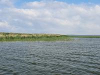 Zeesbootfahrt auf dem Saaler Bodden
