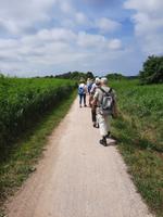 Bodden-Wanderung von Wieck nach Born