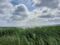 Bodden-Wanderung von Wieck nach Born