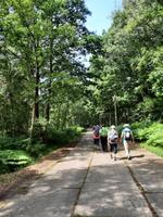 Wanderung von Wieck nach Born