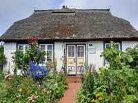 Born (typische Darßer Architektur)