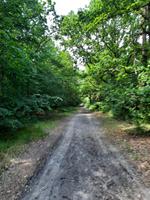 Wanderung von Born zum Weststrand