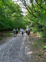 Wanderung von Born zum Weststrand