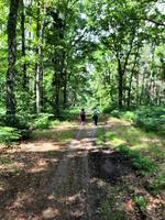 Wanderung von Born zum Weststrand