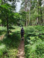 Wanderung von Born zum Weststrand