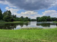 Heimreise - kurzer Aufenthalt am Wörlitzer Park
