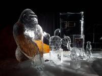 Karls Erlebnis-Dorf in Rövershagen - Eiswelt