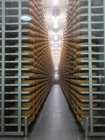 Bregenzer Wald Käsekeller