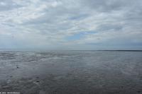 Halbinsel Krummhörn - Wattwanderung