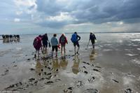 Nationalpark Niedersächsisches Wattenmeer - UNESCO Weltnaturerbe - Wattwanderung