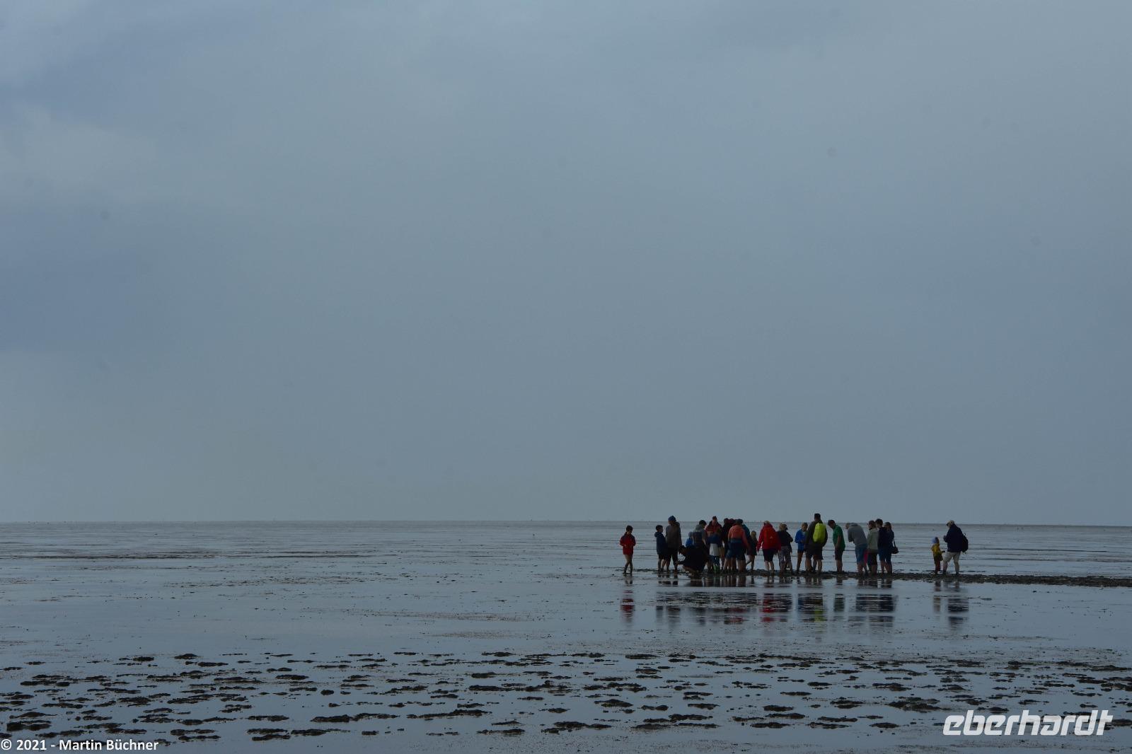Krummhörn - Wattwanderung - immer eine saubere Angelegenheit