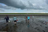 Krummhörn - Wattwanderung - immer eine saubere Angelegenheit