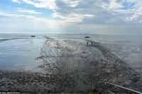 Krummhörn - Wattwanderung - immer eine saubere Angelegenheit