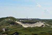 Die Dünenlandschaft auf Norderney ist Teil des Nationalparks Niedersächsisches Wattenmeer - UNESCO Weltnaturerbe