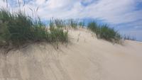 Sanddüne Norderney - Ostfriesische Inseln