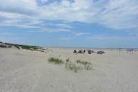 Sanddüne Norderney - Ostfriesische Inseln