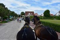 Weiter geht es mit der Kutsche durch den Ort Langeoog