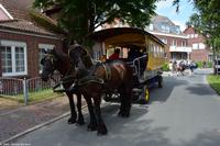 Mit der Kutsche unterwegs auf Langeoog