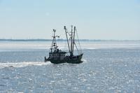 Krabbenkutter auf Ausflugsfahrt...
