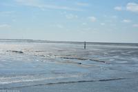 Ablaufendes Wasser im Wattenmeer