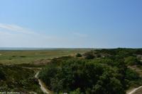 Rundgang Spiekeroog - Blick über die Salzwiesen