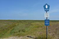 Rundgang Spiekeroog - Wanderung durch die Salzwiesen (Nationalpark)