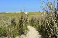 Rundgang Spiekeroog