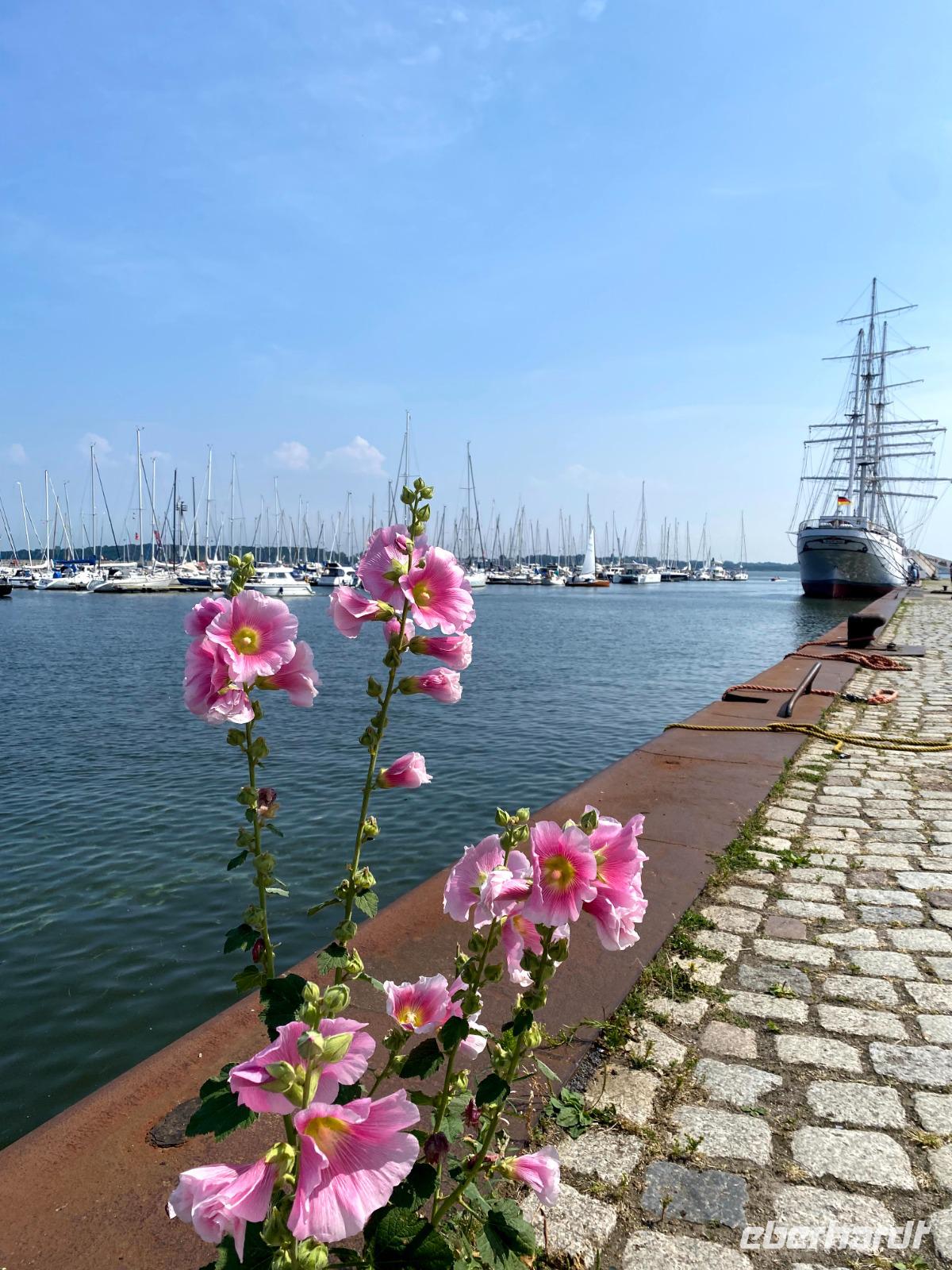 Stralsund - Hafen und Gorch Fock I