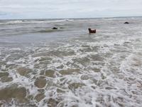 Warnemünde, Thalasso-Kurwege , am Hundestrand