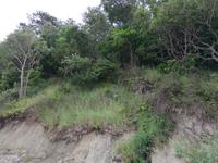 Warnemünde, Thalasso-Kurwege