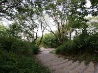 Warnemünde, Thalasso-Kurwege