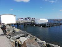 Hohe Düne, Robbenstation