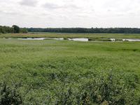 Markgrafenheide Radelsee