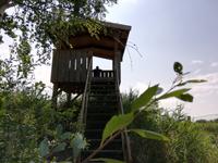 Markgrafenheide, Aussichtsturm mit Blick auf den Radelsee