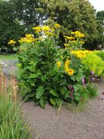 034_Buga ega Gelände