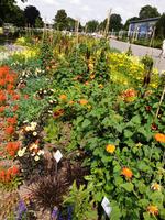 036_Buga ega Gelände