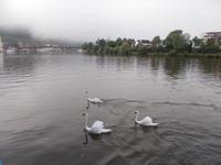 DSCN5029 Schiffsbegleitung