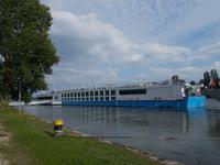 DSCN5151 Johann Strauss in Rüdesheim