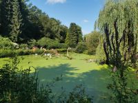 Teichanlage im Vogelpark Walsrode