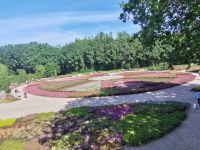 Rondell mit verschiedenen Heidesorten, Heidegarten, Höpen