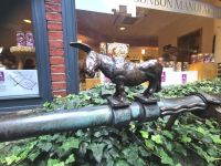 Esel vor dem Bonbonladen in der Böttchergasse, Bremen