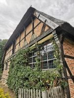 Spalierobst mal als Fensterrahmen, Museumsdorf Hösseringen