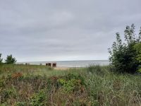 Inselrundfahrt Poel - Gollwitz