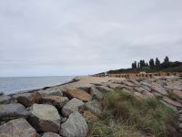 Inselrundfahrt Poel - Timmendorf Strand