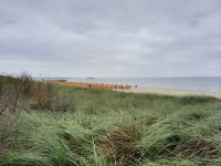 Inselrundfahrt Poel - Timmendorf Strand