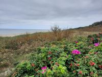 Inselrundfahrt Poel - Timmendorf Strand