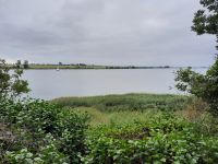 Inselrundfahrt Poel - Kirchdorf (Blick auf den Kirchsee)