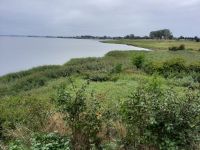 Inselrundfahrt Poel - Kirchdorf (Blick auf den Kirchsee)