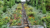 Pflanzentreppe  Blumeninsel Mainau