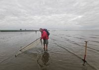 Bodo fischt Krabben für uns, Büsum